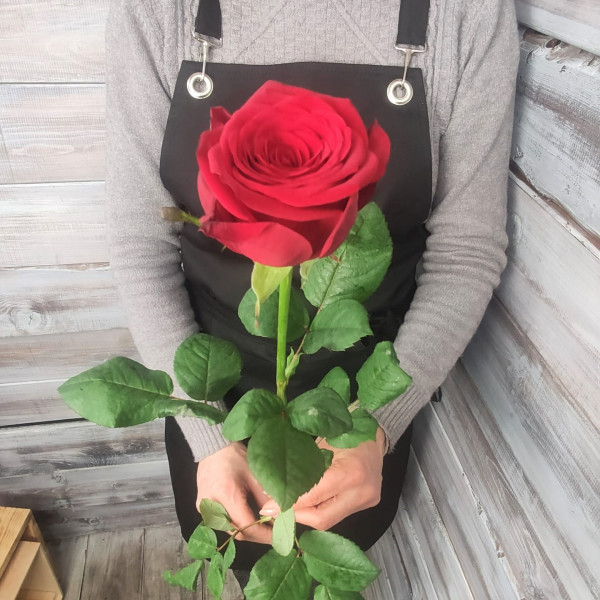 "Рэд Наоми" - купить цветы в Ялте