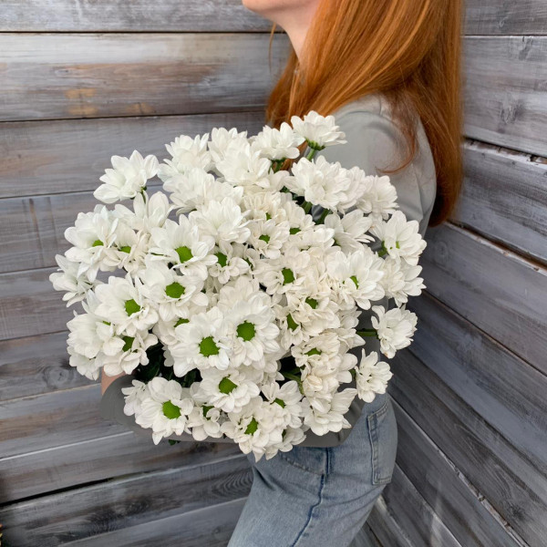 Кустовая хризантема «Чик» - цветы с доставкой Ялта