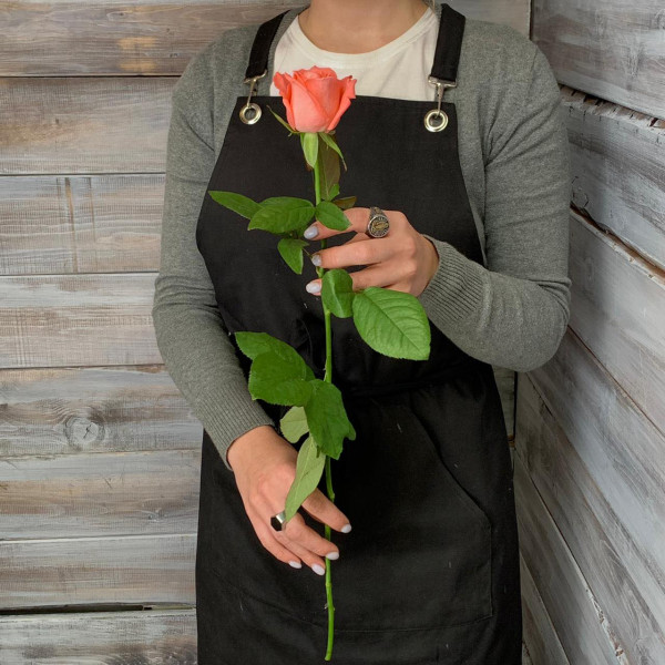 Роза сорта «Карина» - цветы с доставкой Ялта