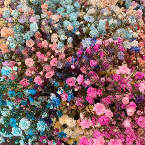 Гипсофила цветная  - цветы с доставкой Ялта