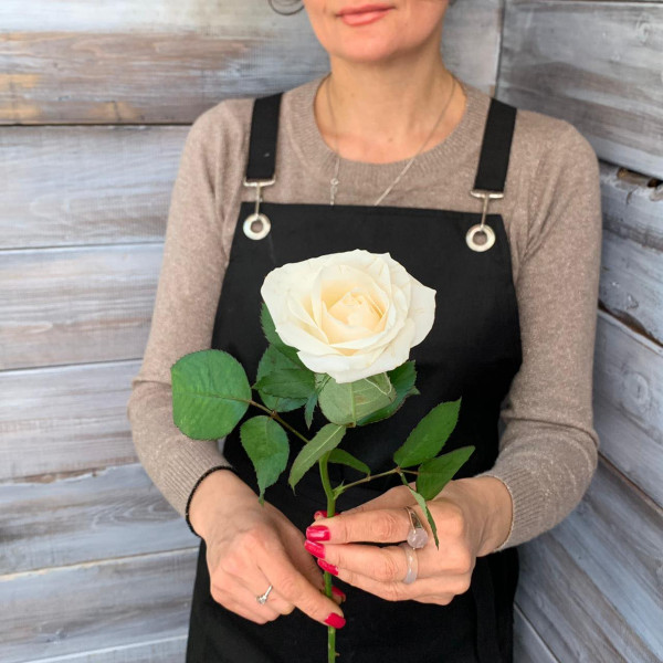доставка цветов в Ялте - Роза сорта "Аваланч"40см 