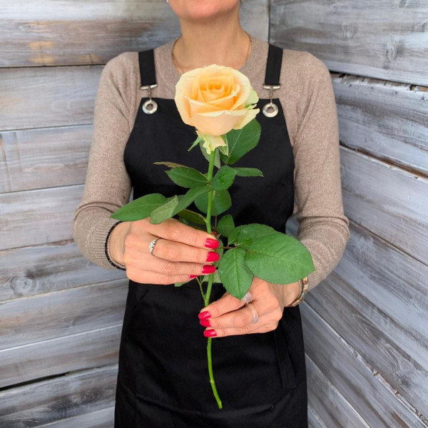 Роза Пич Аваланч - цветы с доставкой Ялта