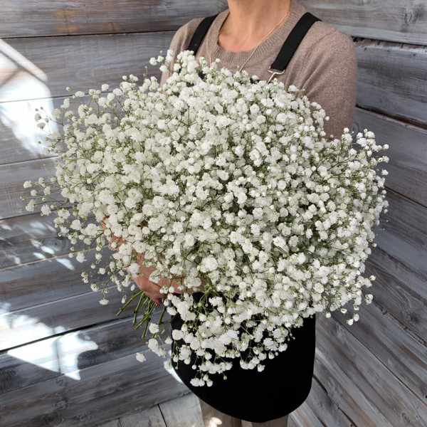 Гипсофила белая - цветы с доставкой Ялта