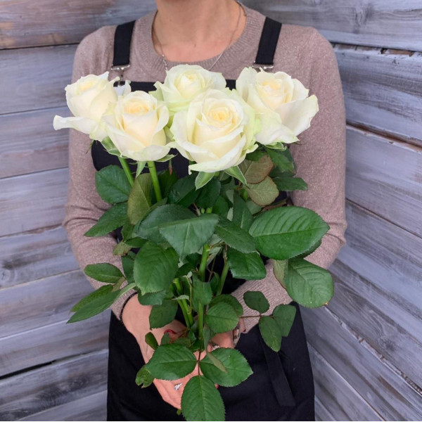 Роза сорта "Аваланш" - доставка цветов Ялта 